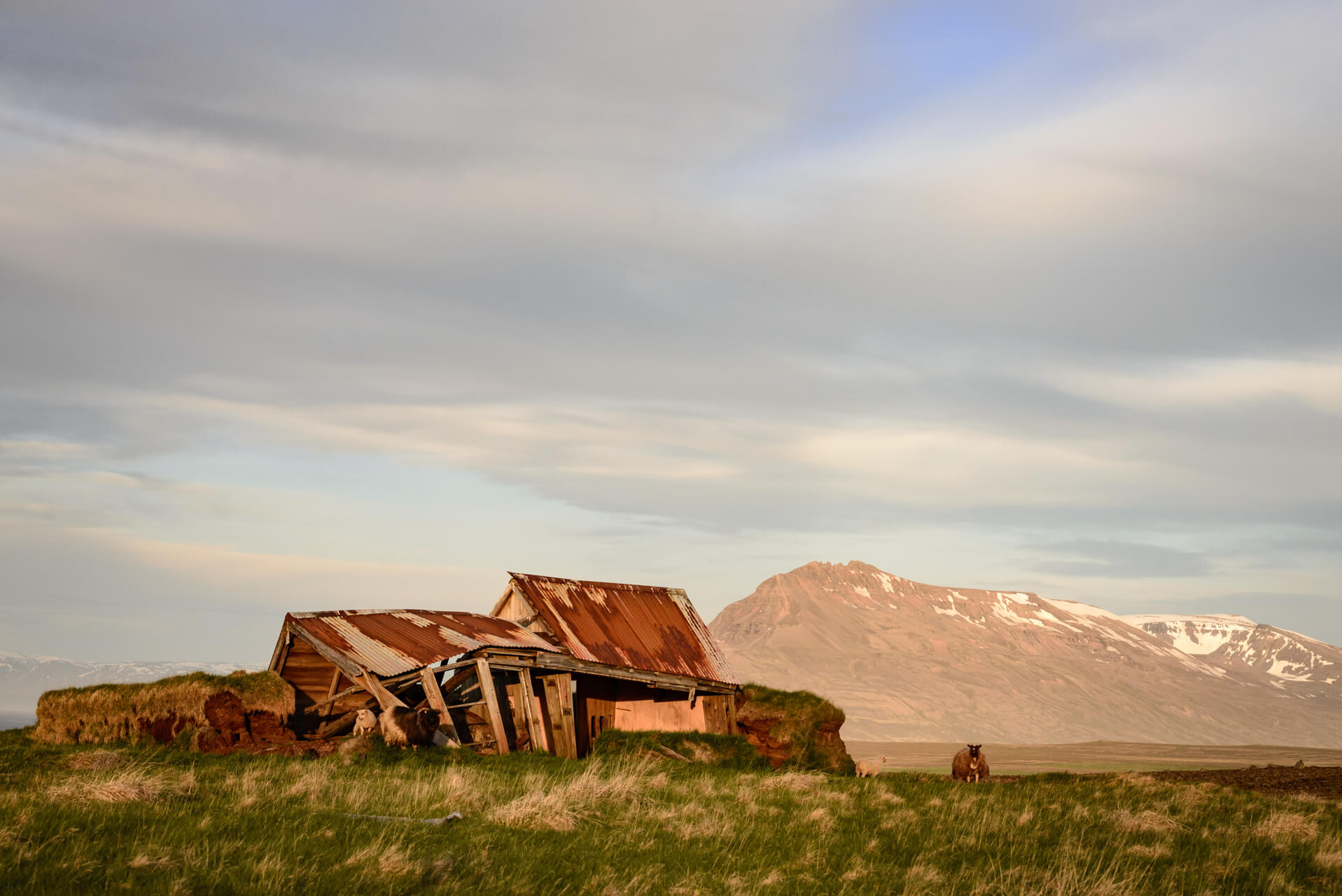 Island; Fotograf Steffen Lohse