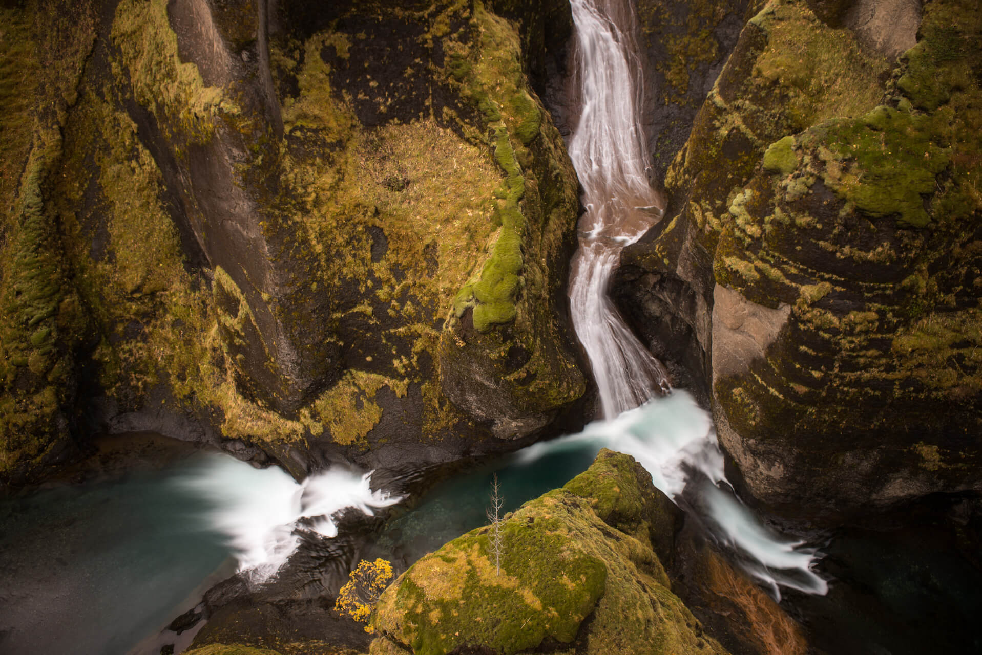 Island, Fjaðrárgljúfur; Fotograf Steffen Lohse