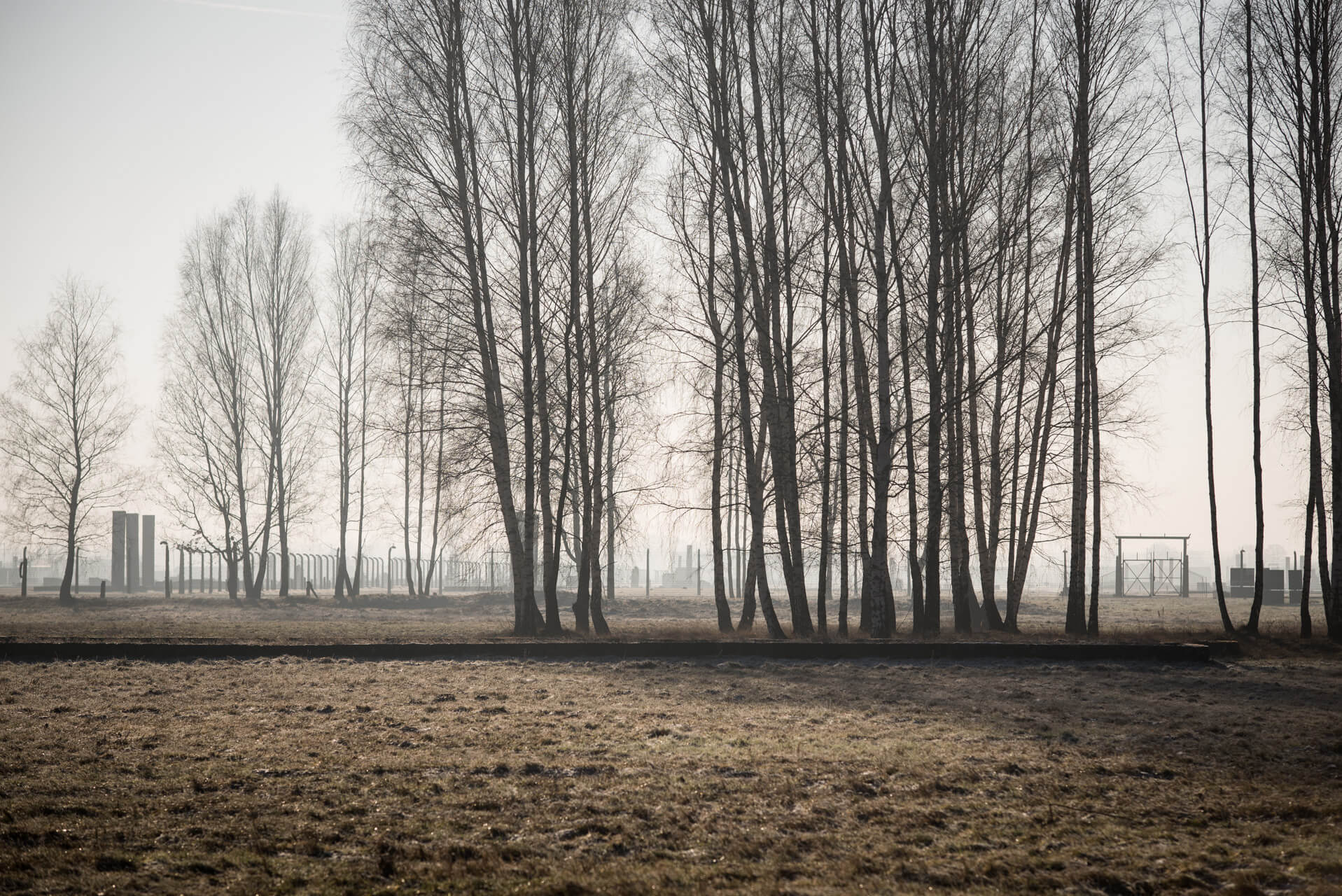 Konzentrations- und Vernichtungslager Auschwitz-Birkenau; Fotograf Steffen Lohse