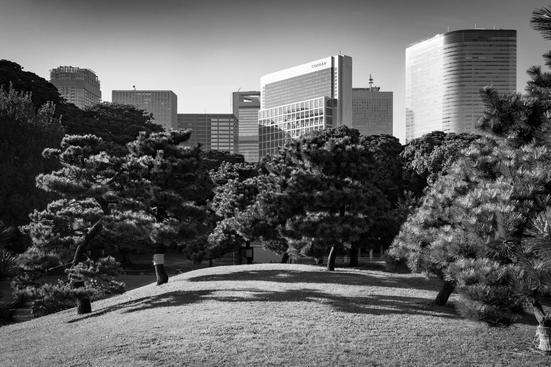 Tokyo, Japan, Fotografie monochrom, Steffen Lohse-Koch