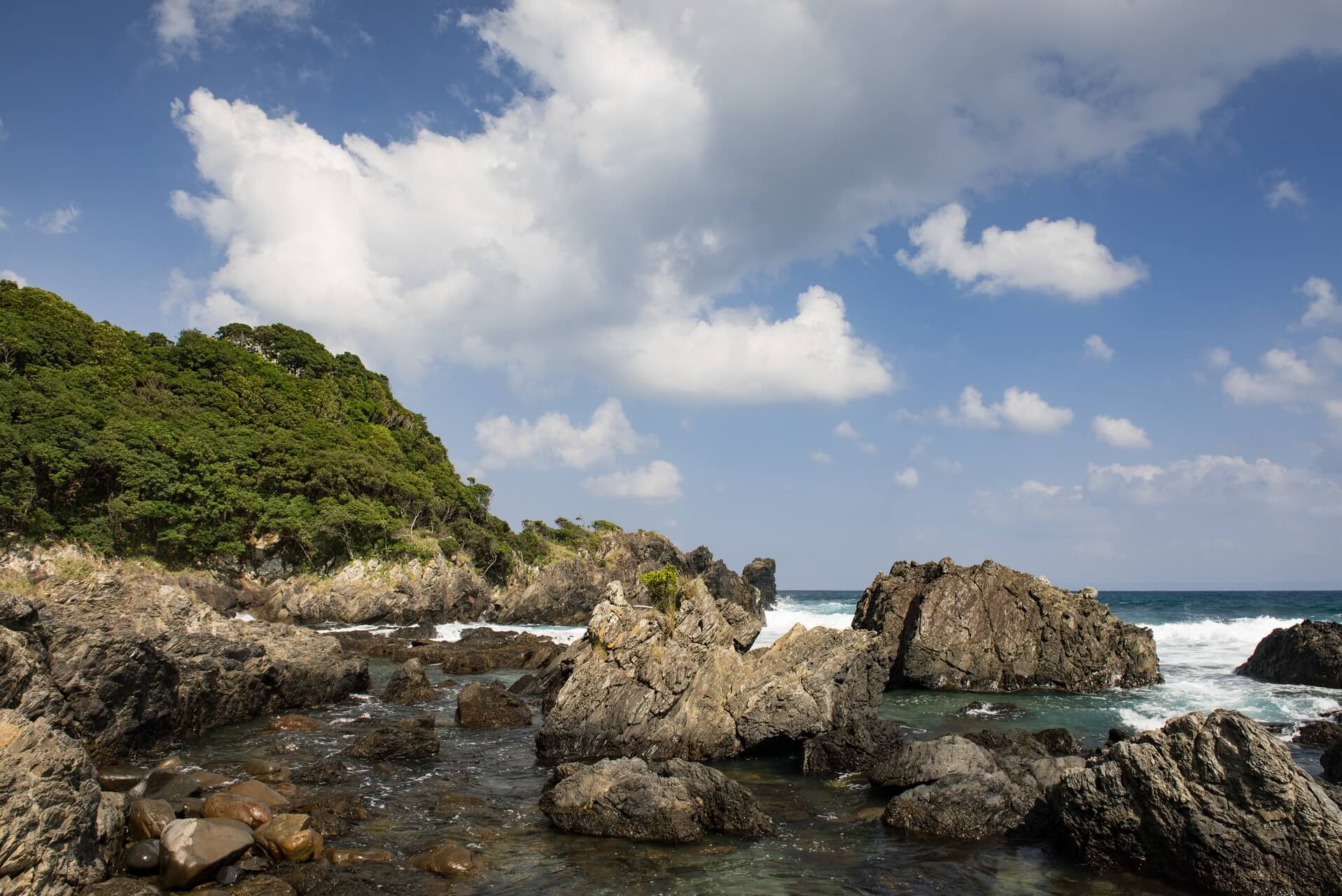 Japan: Yakushima Island, Fotograf: Steffen Lohse