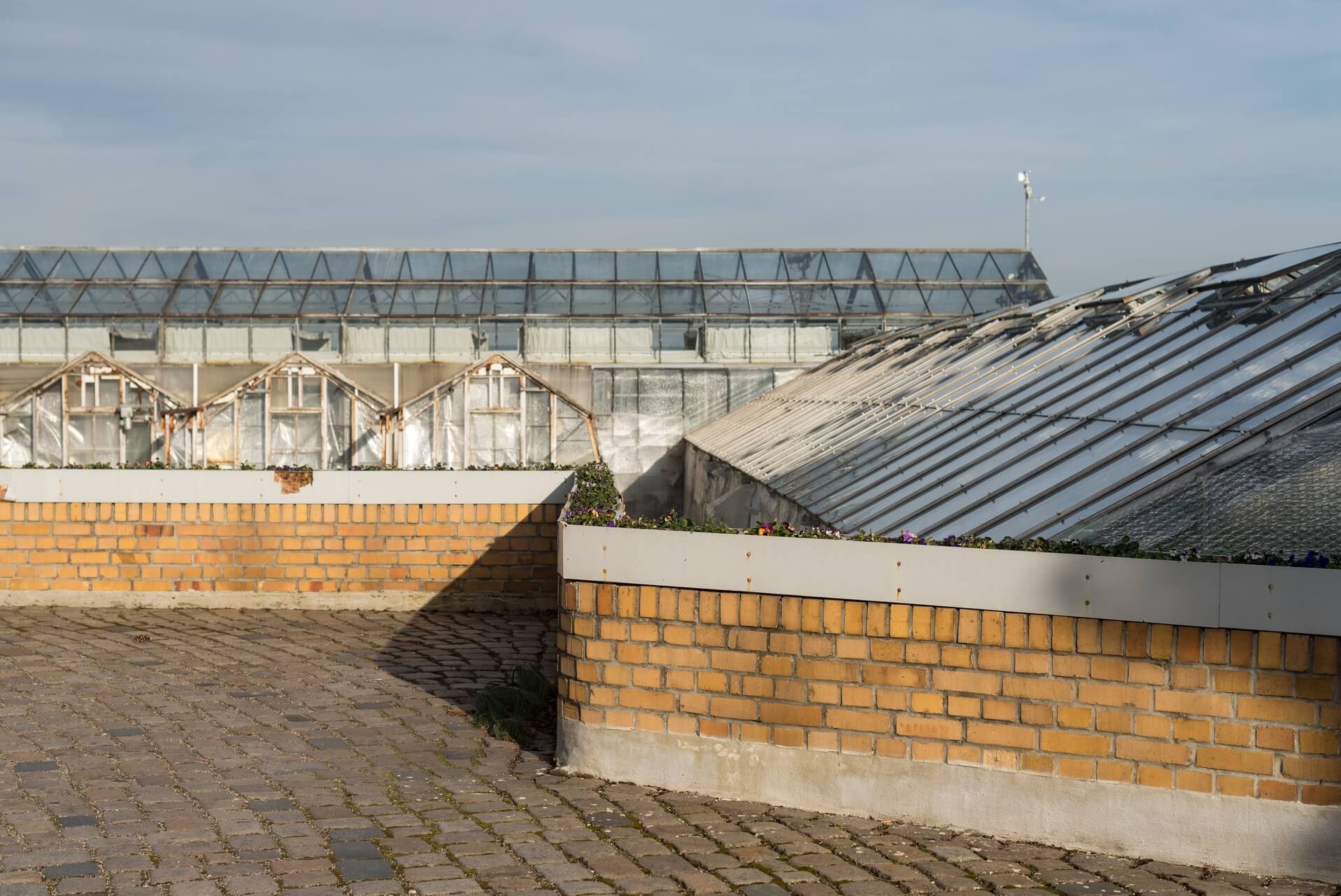 Dresden - Ockerwitz; Fotograf Steffen Lohse