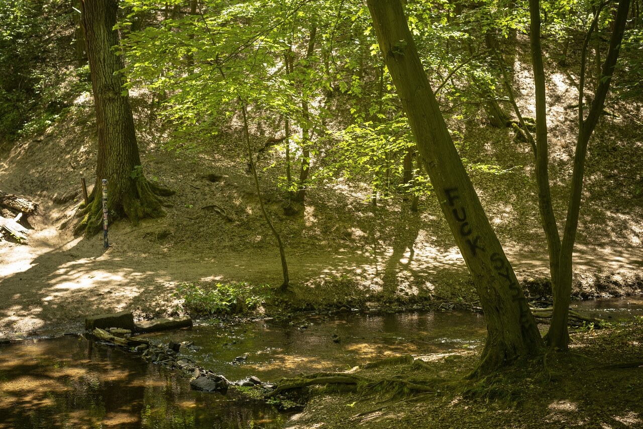 Dresden - Dresdner Heide