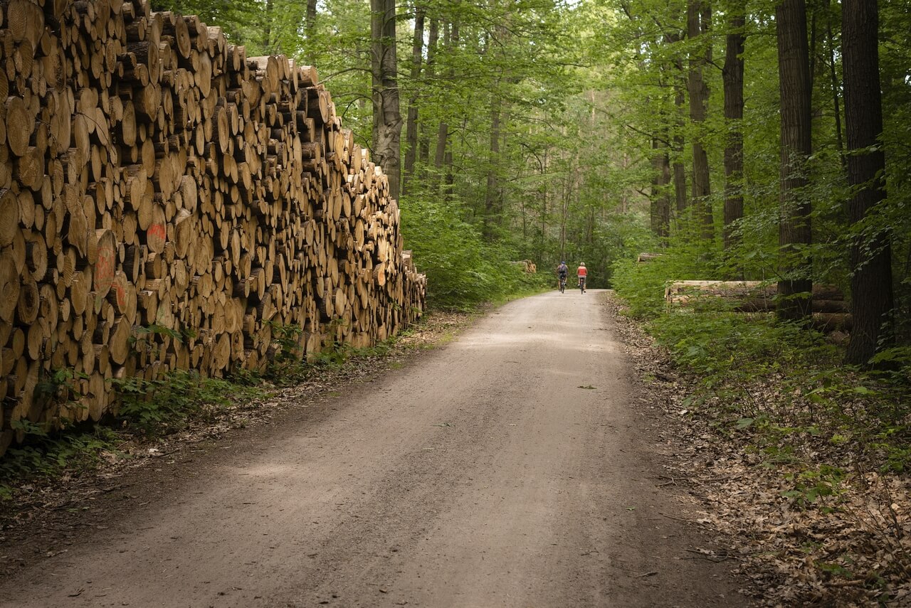 Dresden - Dresdner Heide