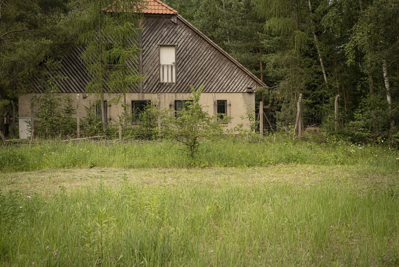 Dresden - Dresdner Heide