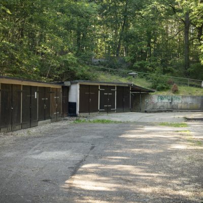 Dresden Junge Heide