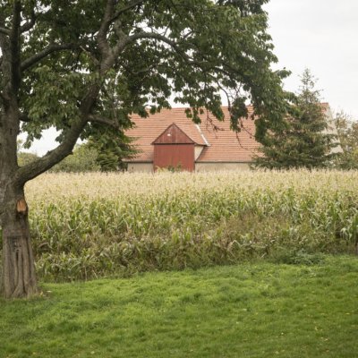 Dresden Rennersdorf